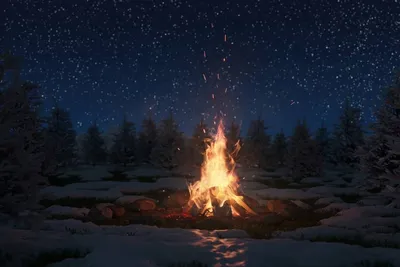 Стихотворение «Новый год в лесу», поэт Шестаков Андрей