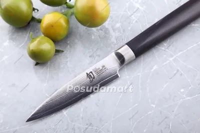 Купить Нож для фруктов и овощей Tuotown TWBX-D1, рукоять дерево (берёза) и  акриловый композит, сталь VG-10 в Ижевске | http://mir-kazanov18.ru