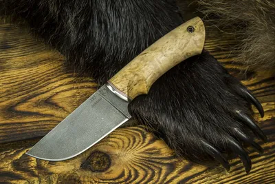 Складной нож FB0081 \"Медведь\" - нужно Купить? У нас дешевле!