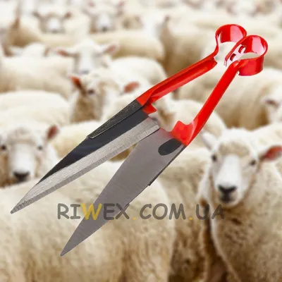 Купить Ручные ножницы для стрижки овец по цене 240 грн от производителя