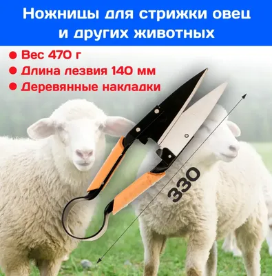 ᐉ Ножницы для стрижки овец 310 мм Красный (AN005531)