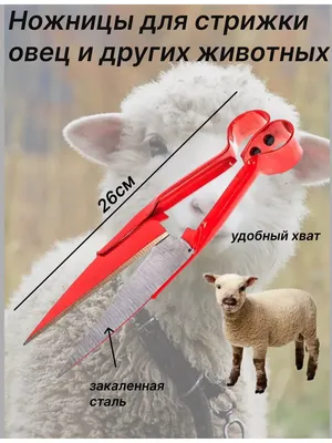 Профессиональная машинка для стрижки овец (id 93988517), купить в  Казахстане, цена на Satu.kz