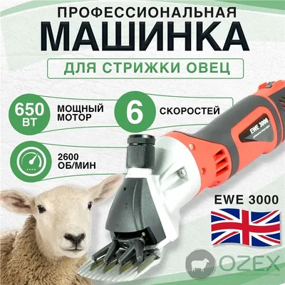 Купить ножницы для стрижки овец в Барнауле, цена снижена в Агрошоп