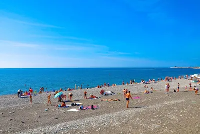 5 нудистских пляжей в Сочи | Sobaka.ru