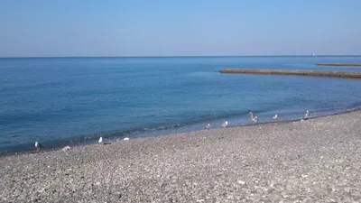 Дикие пляжи Черного моря (74 фото) »