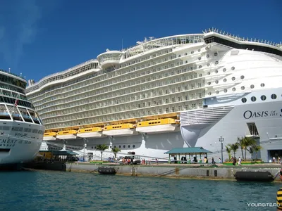 Юмор today - Оазис морей, крупнейшее в мире океанское судно, доки в  Венеции. | Facebook