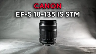 Охота, контровой :: Объектив: Canon EF 135 mm f/ 2 L USM - тестовая  фотография :: Lens-Club.ru