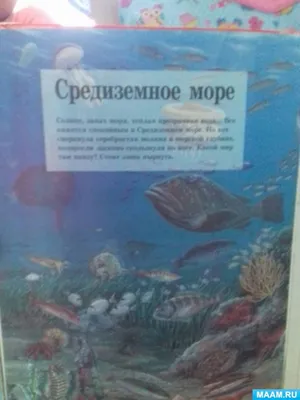 Азовское море массово выносит на берег мертвых дельфинов: что происходит.  Новости Днепра