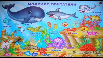 Жители морей и океанов Обучающее видео для малышей - YouTube