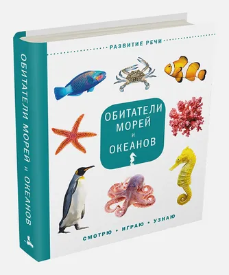 Купить настольная игра Мемо \"Обитатели морей и океанов\", арт. 11408, цены  на Мегамаркет | Артикул: 100027287950