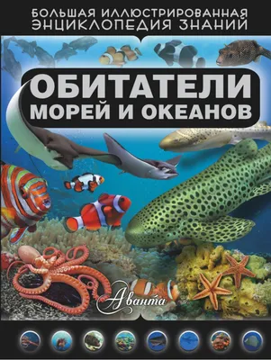 Обитатели морей и океанов | Zangak Bookstore