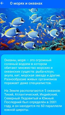 Обитатели морей и океанов. Атлас — купить книгу в Минске — Biblio.by