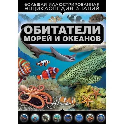 Образовательный маршрут \"Обитатели морей, рек и океанов\" - Неофициальный  сайт детского сада Рябинка п. Новосемейкино