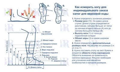 Взуття суперціна - Зимние женские сапоги из натуральной кожи по суперцене!  Внутри мех - набивная овчина. Высота: 38 см Обхват голени: 37 см Подошва: 3  см Остался последний размер: 36 Суперцена: 1099