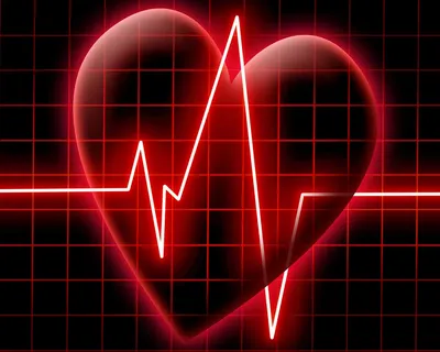 Сердце для жизни. Здоровое сердце - ключ к долголетию и здоровью
