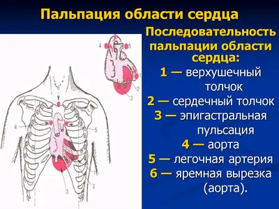 Пензенская область присоединится к всероссийской акции «Оберегая сердца» |  РИА Пензенской области