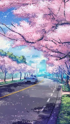 Сакура | Anime scenery wallpaper, Scenery wallpaper, Landscape wallpaper