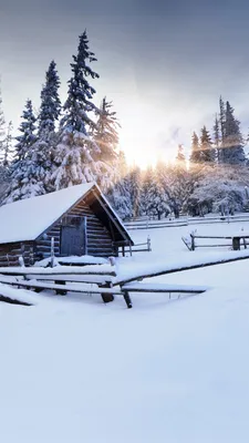 Картинки Финляндия Raattama Зима Природа Леса снега Вечер Деревья