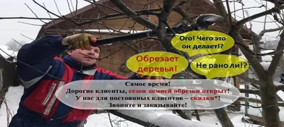 Советы агронома: Весенняя обрезка яблонь - Новости Заводоуковского  городского округа