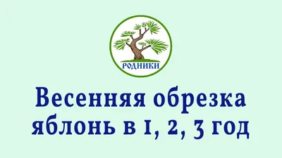 Как правильно обрезать яблоню весной - Worx Russia