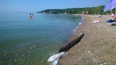 Новосибирск, Обское море