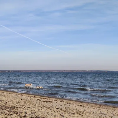 Обское море (Новосибирское водохранилище).Июльские закаты. Искитимский  район.Новосибирская область. фото: Сергей Серебрянников – Это Сибирь!