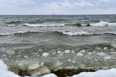 Обское море в Новосибирске — отдых, базы, цены, температура воды, пляж,  фото, где находится, как добраться