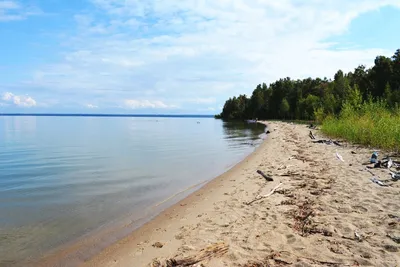 Наслаждаемся летом на Обском море - Сибирские богатства