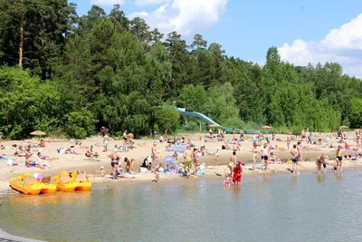 ЗВЕЗДА парк отдыха Новосибирск | Общественный пляж ОБСКОГО МОРЯ  ВОДОХРАНИЛИЩА | ОБЬ | #новосибирск - YouTube