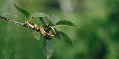 Широкие плоские обручальные кольца бублики из красного золота (Вес пары: 26  гр.) | Плоские обручальные кольца, Обручальные кольца, Классическое обручальное  кольцо