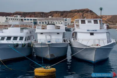 Очарование красивых морей: бесплатные фотографии в высоком качестве (JPG,  PNG) | Красивые моря пляжа Фото №1292999 скачать