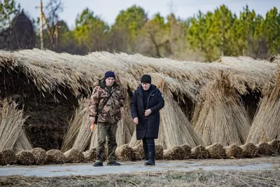 Сколиоз: жизнь в кривом зеркале. Здоровый позвоночник с детства, Александр  Очерет – скачать книгу fb2, epub, pdf на Литрес