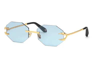 Солнцезащитные очки ROBERTO CAVALLI SRC015M 300, цвет shiny total rose  gold, smoke - купить в оптике MasterGlasses
