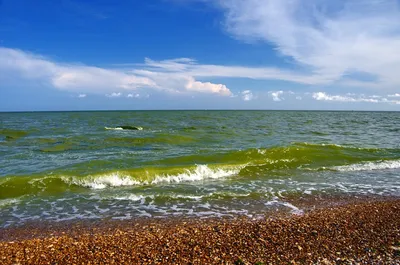 Santa Barbara beach - Доброе утро!🌊🌊🌊☀️ #одесса #море #пляж  #желтыйкамень | Facebook