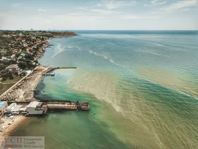 Море в Одессе стало зеленым - появились фото - Новости Одессы | Сегодня