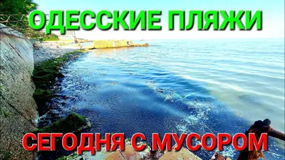 Зеленое море в Одессе: что происходит сейчас, новости Украины | OBOZ.UA