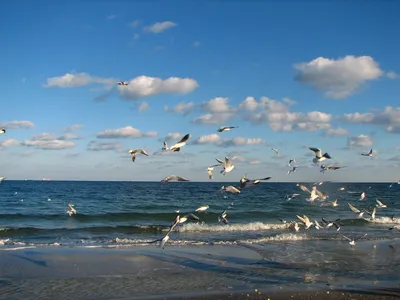 Температура морской воды в Одессе 13 августа: идти ли на пляж сегодня? -  Одесская Жизнь