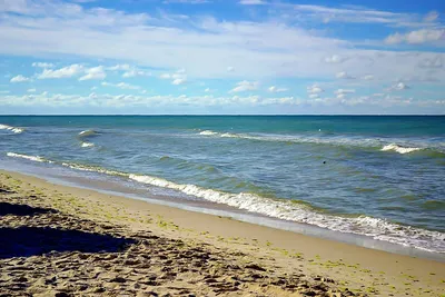 Пляжный сезон-2023 в Одессе будет: где разрешено купаться и какие будут  действовать ограничения – включение