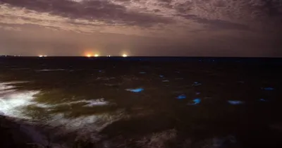 Черное море в Одессе покрылось паром Какая причина, фото видео – О, Море .Сity
