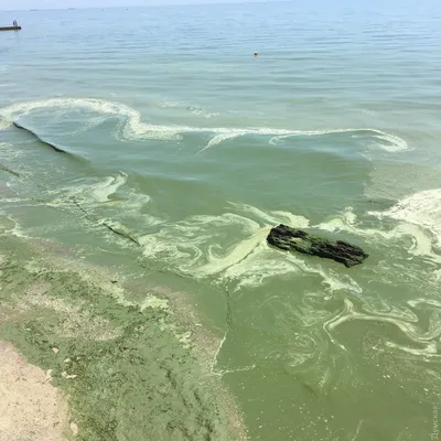 Появились впечатляющие фото и видео замерзшего моря в Одессе - Новости  Украины - InfoResist