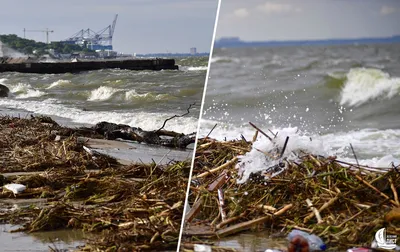 Подрыв Каховской ГЭС - в Одессе показали ужасное состояние пляжей — УНИАН