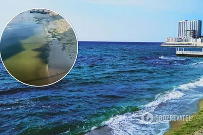 Зеленое и со стволами деревьев в воде: как выглядит Черное море возле  Одессы (фото, видео)