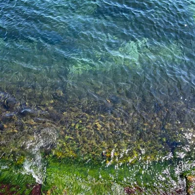 В Одессе Черное море отошло, обнажив волнорезы и камни - Главные Одесские  новости онлайн. Последние новости Одессы за сегодня