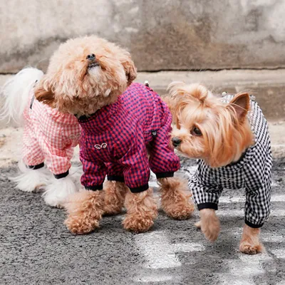 Платье для собачки – заказать на Ярмарке Мастеров – ON5TMBY | Одежда для  питомцев, Новочеркасск