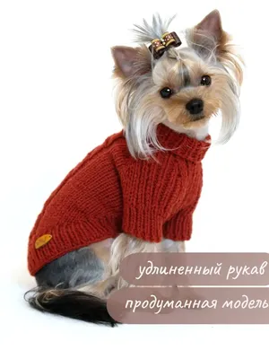 Купить Зимнее пальто для собак, водонепроницаемая толстая теплая одежда для  маленьких собак, кошек, куртка для домашних животных, куртка для холодной  погоды, французский бульдог, такса, комбинезон для щенка йорка, костюм |  Joom