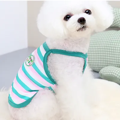 Толстовка для собаки Pet Fashion BE DIFFERENT одежда для животных