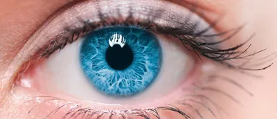 Чешутся уголки глаз - причины и лечение - Офтальмологические клиники  «Эксимер» (Киев) – диагностика и лечение заболеваний глаз у взрослых и детей
