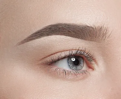 10 Top Salons for Brow Perfection in San Francisco