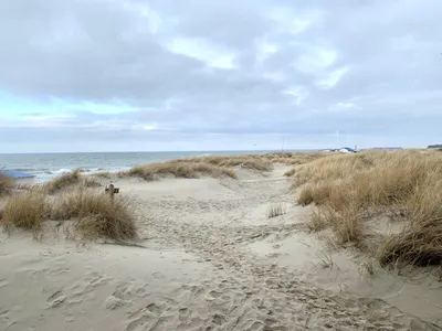 Хуситы продолжат атаки в Красном море - ANNA NEWS