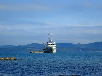 Сурское море по колено. Главное водохранилище Пензенской области приведут в  порядок?